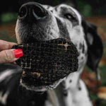 Dog being given a RawFedK9 dehydrated beef liver treat, highlighting a rewarding moment with a nutrient-rich, single-ingredient snack.