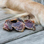 RawFedK9 dehydrated turkey gizzards laying next to a dog, highlighting a natural, nutrient-rich single-ingredient treat option for dogs.