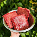 Vibrant red RawFedK9 patties served in a dog bowl being held up, showcasing fresh, high-quality raw dog food that is biologically appropriate and appealing.