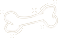 BONE