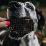 Dog being given a RawFedK9 dehydrated beef liver treat, highlighting a rewarding moment with a nutrient-rich, single-ingredient snack.