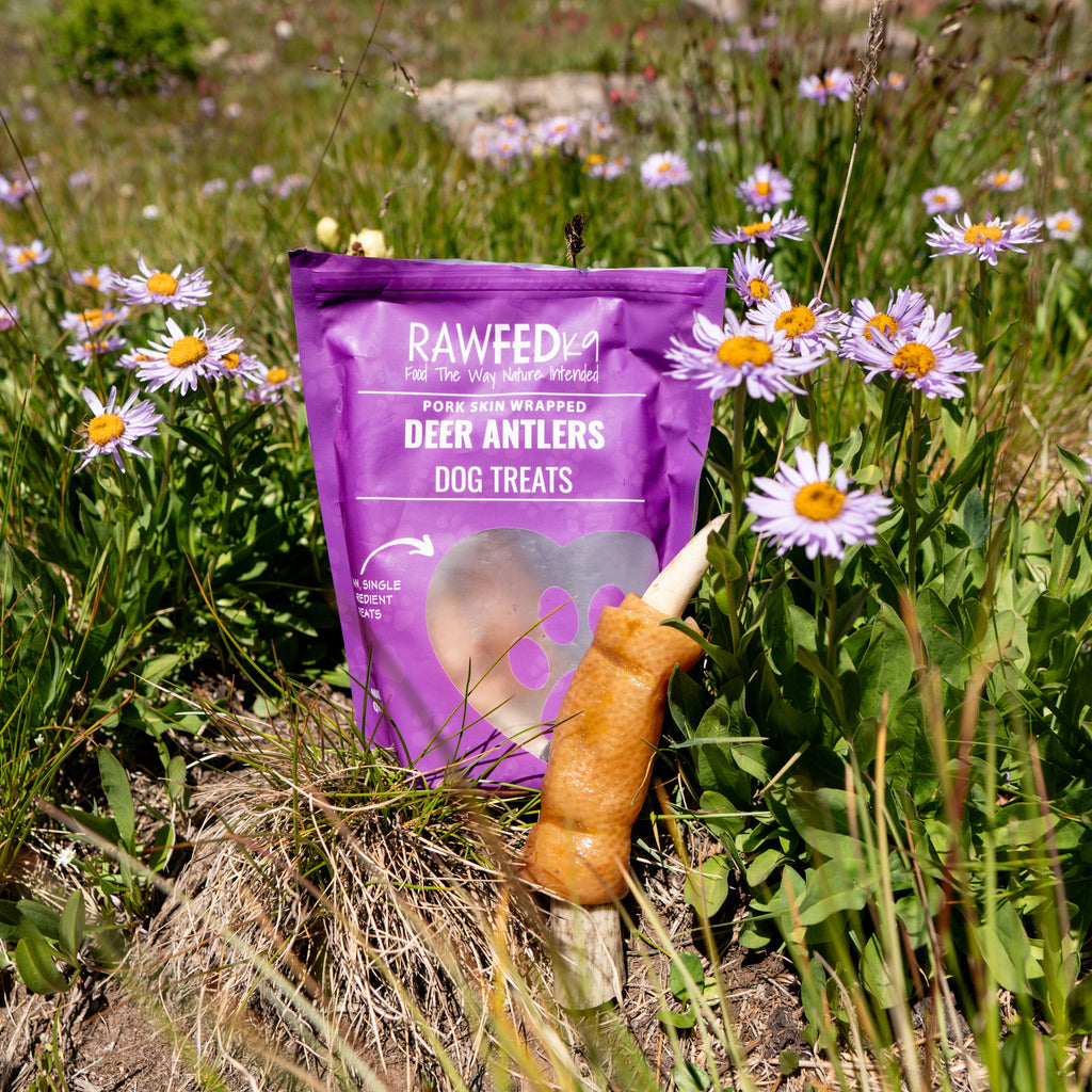 RawFedK9 pork skin–wrapped deer antler with branded bag, displayed in a natural field of blooming flowers.