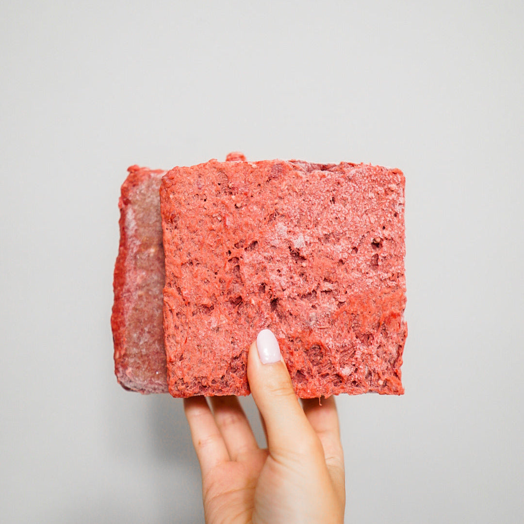 Hand holding RawFedK9 PMR patties against a white background, highlighting the texture and quality of balanced raw dog food made with muscle meat, bone, and organ.