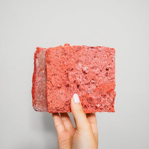 Hand holding RawFedK9 PMR patties against a white background, highlighting the texture and quality of balanced raw dog food made with muscle meat, bone, and organ.