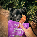 Dog eagerly looking at a RawFedK9 bag of chicken meat while the owner holds a piece, highlighting the appeal of fresh, biologically appropriate raw dog food.