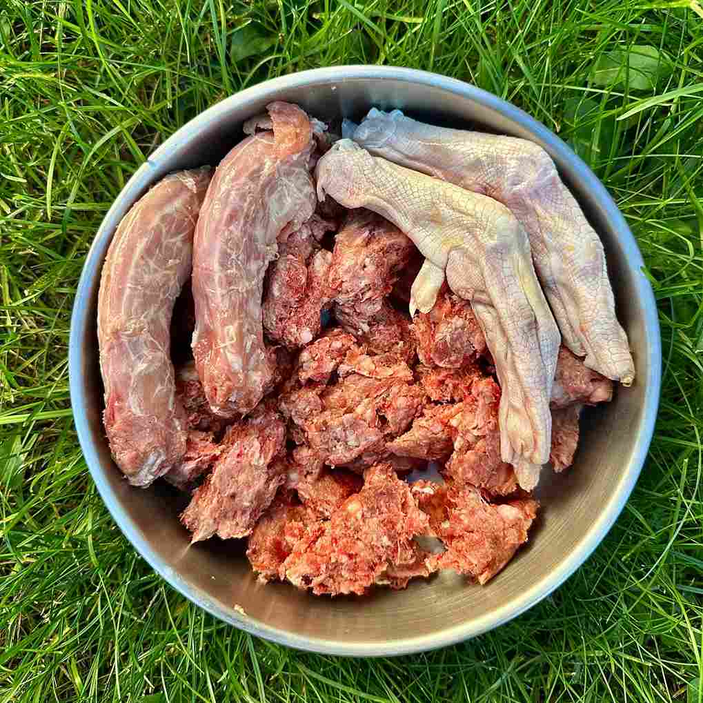 Bowl filled with RawFedK9 PMR patties, raw chicken neck, and raw duck feet, highlighting a balanced, biologically appropriate raw meal for dogs.