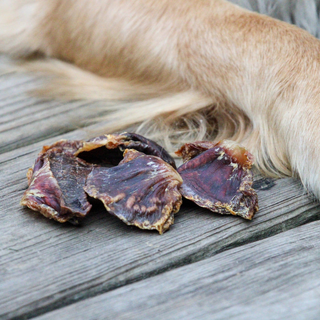 RawFedK9 dehydrated turkey gizzards laying next to a dog, highlighting a natural, nutrient-rich single-ingredient treat option for dogs.