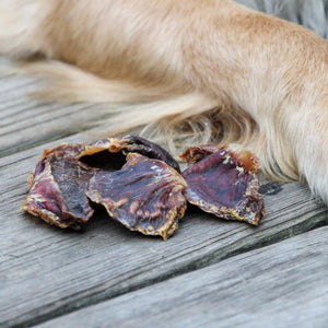 RawFedK9 dehydrated turkey gizzards laying next to a dog, highlighting a natural, nutrient-rich single-ingredient treat option for dogs.