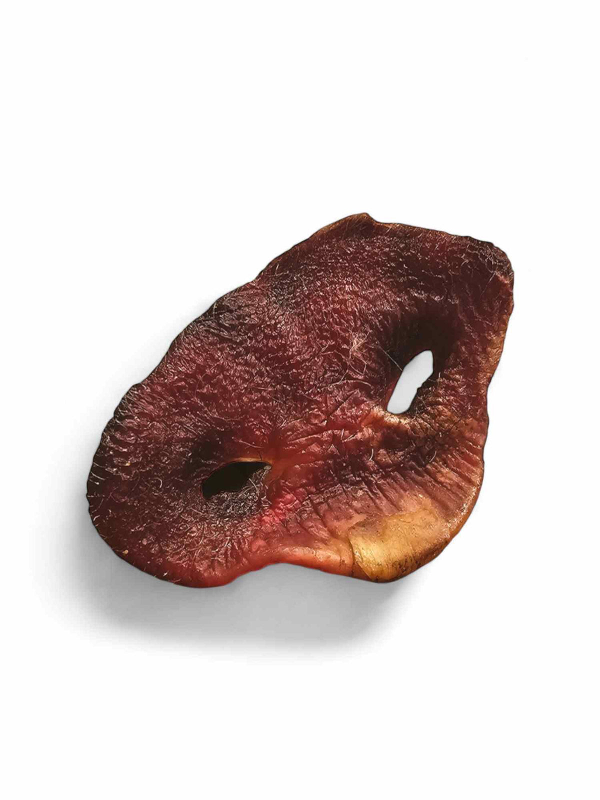 RawFedK9 dehydrated pork snout displayed on a white background, featuring a natural, long-lasting single-ingredient chew for dogs.