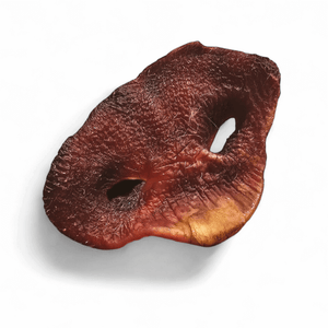 RawFedK9 dehydrated pork snout displayed on a white background, featuring a natural, long-lasting single-ingredient chew for dogs.