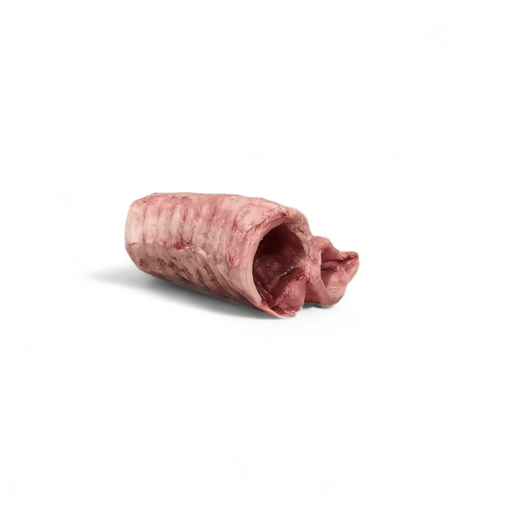 RawFedK9 raw beef trachea displayed on a white background, showcasing a nutrient-rich, natural chew that supports joint health and raw feeding for dogs.