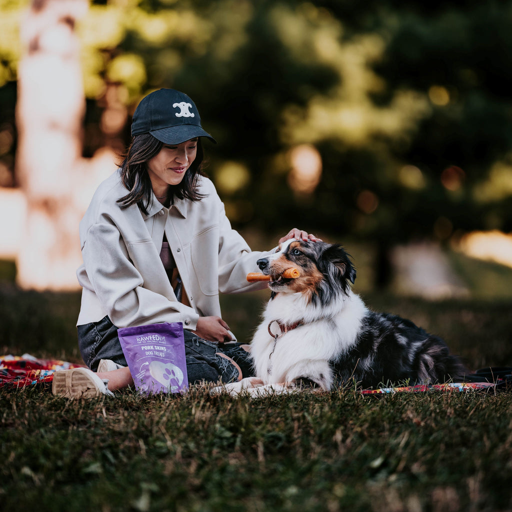 Dog owner sitting with their dog, who is holding a RawFedK9 rolled pork skin chew, highlighting a bonding moment with a natural, single-ingredient treat.