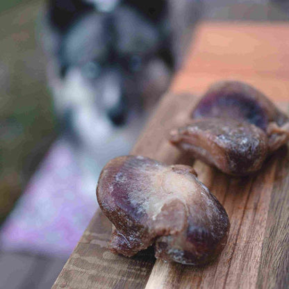 RawFedK9 raw turkey gizzards displayed in the foreground with a dog in the background eagerly watching, highlighting a fresh, biologically appropriate food option for dogs.